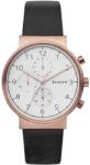 Skagen SKW6371 Ceas