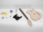 Dimavery DIY TL 10