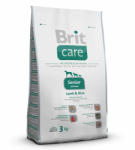 Brit Care Grain-free Senior - Salmon & Potato 3 kg
