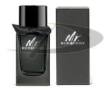 Burberry Mr Burberry EDP 100 ml