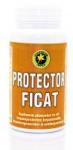 Hypericum Plant Protector ficat 60cps HYPERICUM