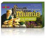 Damar General Trading Extract de rasina mumie cu propolis-tablete 30tbl DAMAR