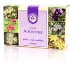 Hypericum Plant Ceai antistres 20plicuri HYPERICUM