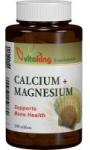 Vitaking Calciu-magneziu 500/250 100cpr VITAKING