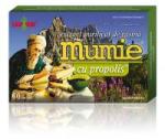 Damar General Trading Extract de rasina mumie cu propolis-tablete 60tbl DAMAR