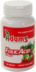 Adams Supplements Acid folic 120tbl ADAMS SUPPLEMENTS