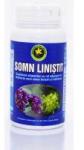 Hypericum Plant Somn linistit 60cps HYPERICUM