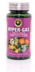 Hypericum Plant Hyper gas 60cps HYPERICUM