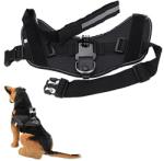  Fetch / Ham pentru caini cu prindere compatibila GoPro, SJCAM GP268