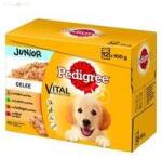 PEDIGREE 12 pack alutasakos JUNIOR Csirke + Rizs