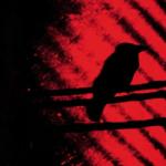 Silver Mt. Zion Born Into Trouble As The