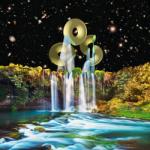 Orchestra of Spheres Vibration Animal Sex - facethemusic - 7 590 Ft