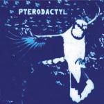 Pterodactyl Pterodactyl