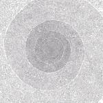 Kiss the Anus of a Bla Nebulous Of Dreams