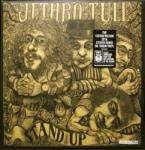 Jethro Tull Stand Up (steven Wilson Remix)