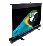 Elite Screens F80NWH