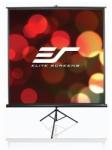 Elite Screens T71UWS1