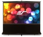 Elite Screens F100NWH