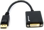 StarTech DP2DVI2