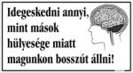  Idegeskedni annyi, mint mások hülyesége miatt magunkon bosszút állni humoros vicces tábla matrica