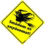 Imádom az anyósomat! (autóra) humoros vicces matrica