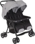 Graco DuoRider Carucior