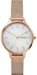 Skagen SKW2633 Ceas