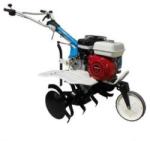 AGT 5580 GX200 6.5CP