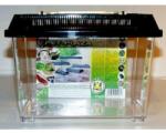 DRAGON PET-PLAZA Пластмасов терариум Small - 23x15x16cm с дръжка