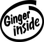  Ginger inside - autómatrica, autódekor