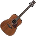 Ibanez Artwood AW54