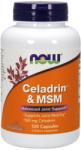 NOW NOW Celadrin&MSM 120 kapszula
