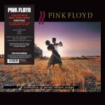 Pink Floyd Collection Of Great Dance Songs