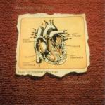 Heavens To Betsy CALCULATED - facethemusic - 9 490 Ft