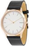 Skagen SKW1102