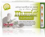 Damar General Trading Extract purificat de rasina mumie cu propolis-capsule 30cps DAMAR