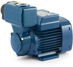 Pedrollo PKSm 60 (41PNKS60A1)