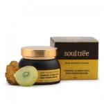 SoulTree Cremă anitirid cu turmeric și amlă Soultree 60-ml Crema antirid contur ochi