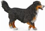 CollectA Ciobanesc de Bernese (88801) Figurina