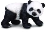 CollectA Panda Urias Pui (88167) Figurina