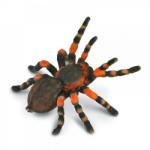 CollectA Tarantula Mexicana Cu Genunchi Rosii (88338) Figurina