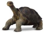 CollectA Broasca Testoasa Din Pinta Island M (88619) Figurina
