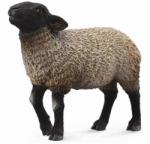 CollectA Oaie Suffolk (88636) Figurina