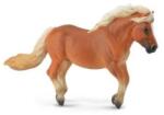 CollectA Ponei Roscat Shetland M (88605) Figurina