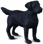 CollectA Labrador Retriever (88076) Figurina