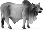 CollectA Taur Brahman (88579) Figurina