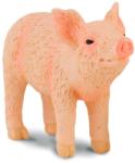 CollectA Purcel Adulmecand (88344) Figurina