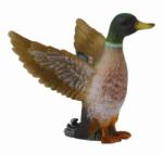 CollectA Rata Salbatica Mascul (88378) Figurina