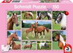 Schmidt Spiele Dream Horses 150 db-os (56269)