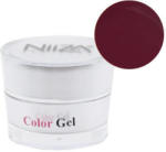  NiiZA ColorGel #22